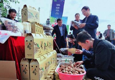 線上線下銷售火爆，食品消費新趨勢解讀