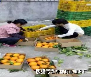 你不知道的農(nóng)副產(chǎn)品快速銷(xiāo)售方法揭秘